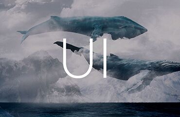 Композиция