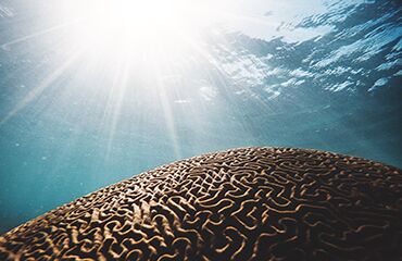 Потеря внимания пользователя